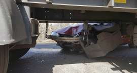 zdjęcie nr 12
