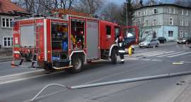 Fotka nr 5 z 17