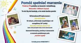 zdjęcie nr 10