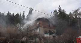 Fotka nr 5 z 16