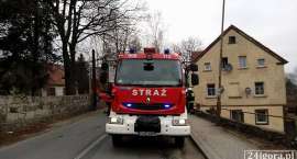 Fotka nr 3 z 6