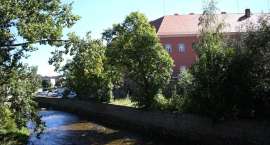 Fotka nr 5 z 15