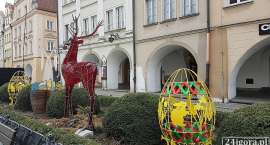 zdjęcie nr 9