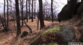 zdjęcie nr 8