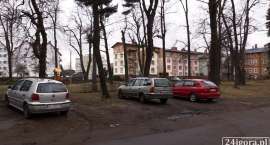 zdjęcie nr 8