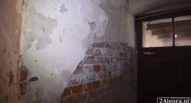 zdjęcie nr 62