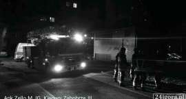 Fotka nr 2 z 5