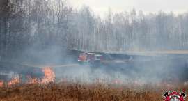 zdjęcie nr 37