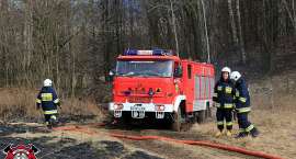 zdjęcie nr 17