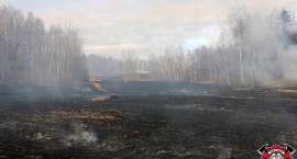 zdjęcie nr 48