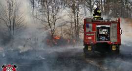 zdjęcie nr 52