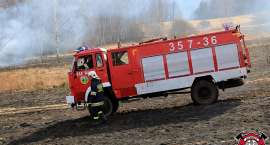 zdjęcie nr 46