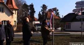 zdjęcie nr 14