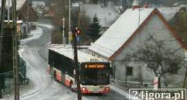 Fotka nr 2 z 6