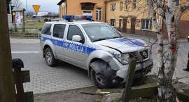 Fotka nr 2 z 14