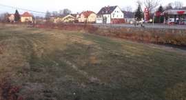 zdjęcie nr 8