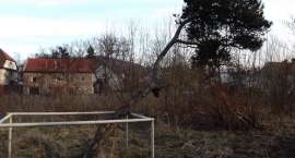 zdjęcie nr 7