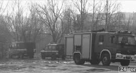 zdjęcie nr 7