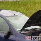 zdjęcie nr 7
