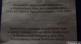 zdjęcie nr 45
