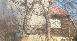 zdjęcie nr 11
