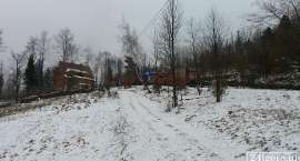 zdjęcie nr 8