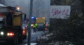 zdjęcie nr 7