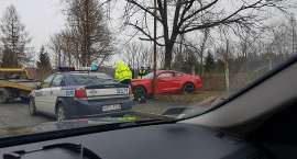 zdjęcie nr 7