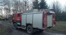 Fotka nr 2 z 3