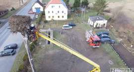 zdjęcie nr 9