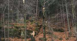 zdjęcie nr 12