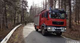 Fotka nr 5 z 15