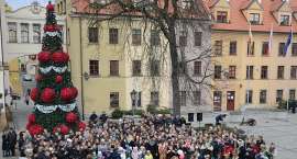 zdjęcie nr 7