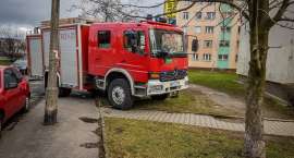 Fotka nr 3 z 7