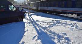 zdjęcie nr 7