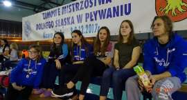 zdjęcie nr 13