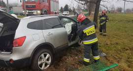 zdjęcie nr 9