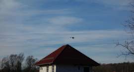 zdjęcie nr 5