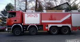 Fotka nr 5 z 8