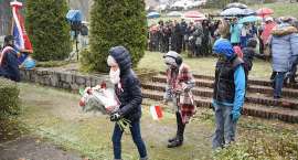 zdjęcie nr 37