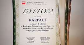 Fotka nr 1 z 3