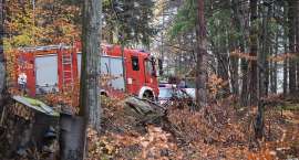 zdjęcie nr 8