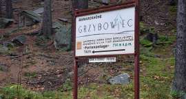 zdjęcie nr 9