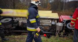 Fotka nr 3 z 15
