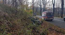 Fotka nr 3 z 11