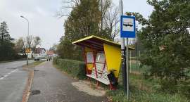 Fotka nr 2 z 11