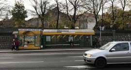 zdjęcie nr 7