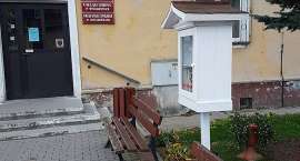 zdjęcie nr 10