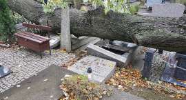zdjęcie nr 7
