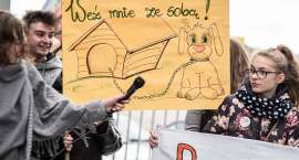 zdjęcie nr 13